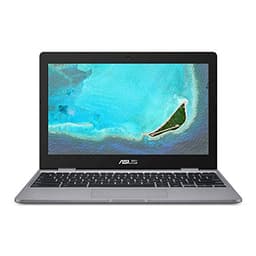 ASUS Chromebook C223NA 11.6" HD Laptop (Intel Celeron N3350