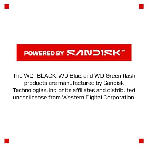 WD_BLACK SN8100 4TB Review: PCIe Gen 5 NVMe SSD